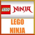 Ninja Lego Minifigures