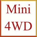 Mini 4WD