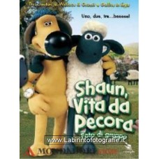Shaun, vita da pecora - Foto di Gruppo DVD - Usato