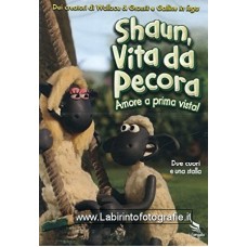 Shaun, vita da pecora - Amore a Prima Vista DVD - Usato