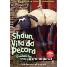 Shaun, vita da pecora - Abracadrabra DVD - Usato