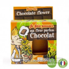 Radis et Capucine Kit in terracotta 8cm Chocolate Flower