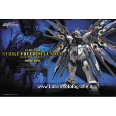 Bandai Perfect Grade PG Bandai Gundam Pg Strike Freedom Gundam Perfect Grade Plastic Model Kit