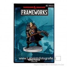 Dungeons & Dragons Frameworks Human Male Fighter