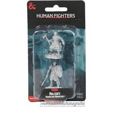 Dungeons & Dragons: Nolzur's Marvelous Unpainted Minis: Human Fighters