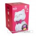Dhink Night Light Silicone Color Changing Cat