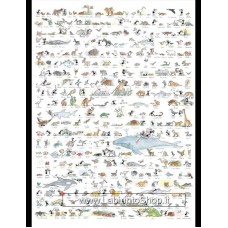 Puzzle delle Formiche 1080 Pezzi - Animali