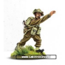 Warlord War Bolt Action Stanley Hollis WC