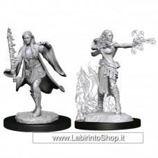 Dungeons & Dragons: Nolzur's Marvelous Unpainted Minis: Multiclass Warlord Sorcerer