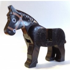 Cavallo 08