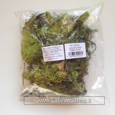 Javis Bilk Pack Green Lichen