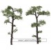Hornby Professional Trees Scots Pine 100mm x 2