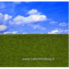 Reality In Scale - Mat06 - Groomed Grass