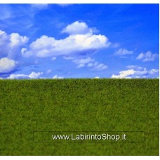 Reality In Scale - Mat06 - Groomed Grass