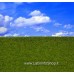 Reality In Scale - Mat06 - Groomed Grass