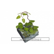 Matho Models 35079 Jungle Plants C
