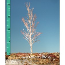 Mini Natur - 215-10 - Aspen Barren