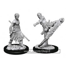 Dungeons & Dragons: Nolzur's Marvelous Unpainted Minis: Half Elf Monk Male