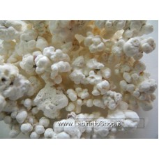 Sassi Pop Corn