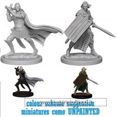 Dungeons & Dragons: Pathfinder Battles Unpainted Minis:  Elf Male Paladin