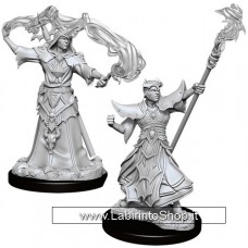 Dungeons & Dragons: Pathfinder Battles Deep Cuts Unpainted Minis: Male Human Sorcerer