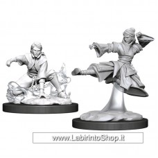 Dungeons & Dragons: Nolzur's Marvelous Unpainted Minis: Human Monk