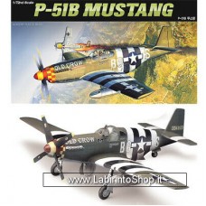 Academy 1/72 P-51b