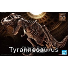 Imaginary Skeleton Tyrannosaurus (Plastic model)