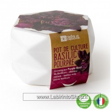 Radis et Capucine Pot de Culture Basilico Viola da coltivare in vaso di ceramica 