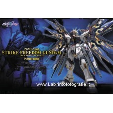 Bandai Perfect Grade PG Strike Freedom Gundam Perfect Grade Gundam Model Kit