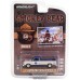 Greenlight - 1/64 - Smokey Bear - 1989 Dodge Ram D-150