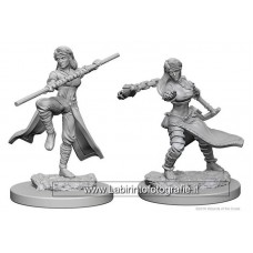 Dungeons & Dragons: Nolzur's Marvelous Unpainted Minis: Human Monk