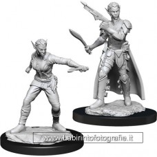 Dungeons & Dragons: Nolzur's Marvelous Unpainted Minis: Shifter Rogue