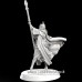 Eldfall Chronicles Expeditionary Hierophant