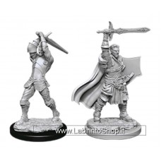 Dungeons & Dragons: Nolzur's Marvelous Unpainted Minis: Human Paladin Male