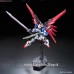 Bandai Real Grade RG ZGMF-X42S Destiny Gundam (RG) (Gundam Model Kits)