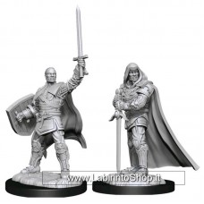 Dungeons & Dragons: Nolzur's Marvelous Unpainted Minis: Elf Wizard Male