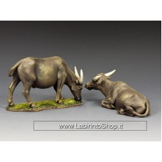 VN124 - A Pair of Water Buffaloes